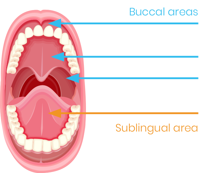 Bucal delivery